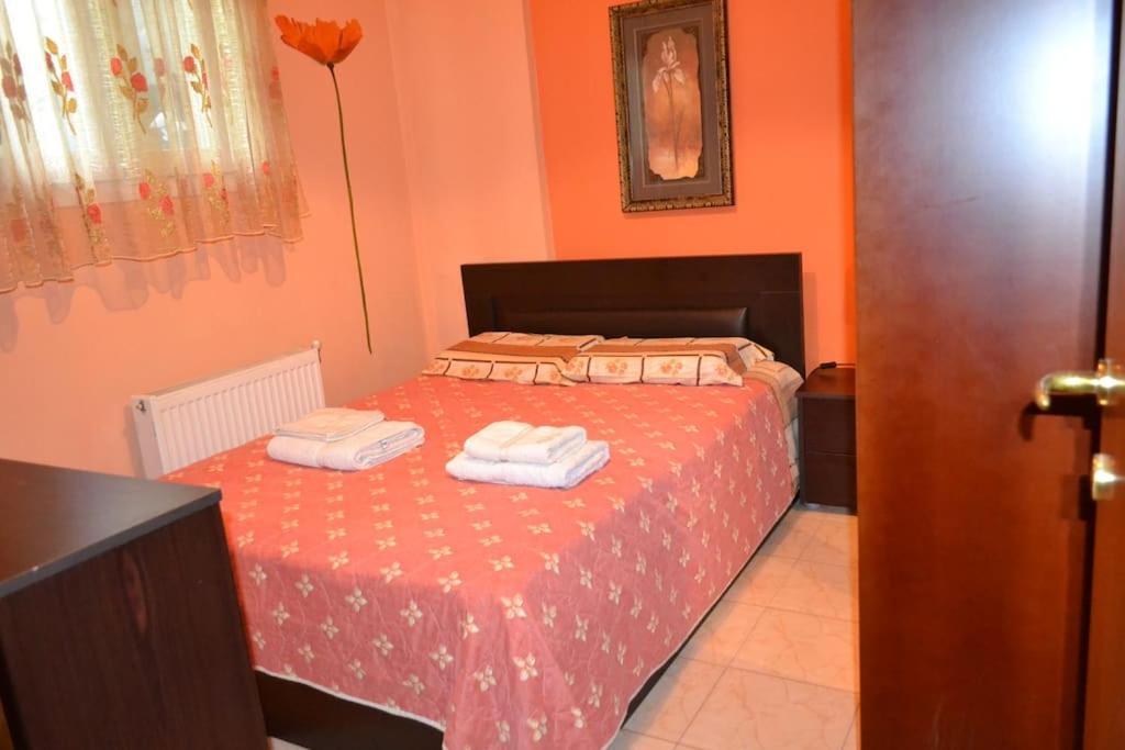 דירות ניאה מיכאניונה Vasiliki'S Cosy House מראה חיצוני תמונה