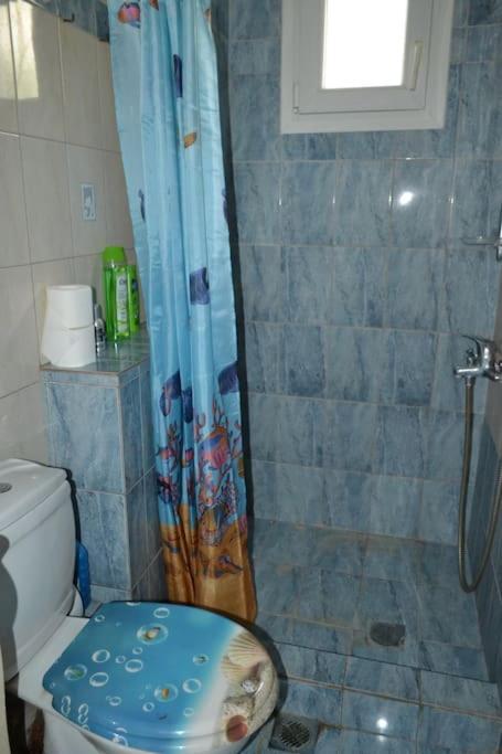 דירות ניאה מיכאניונה Vasiliki'S Cosy House מראה חיצוני תמונה