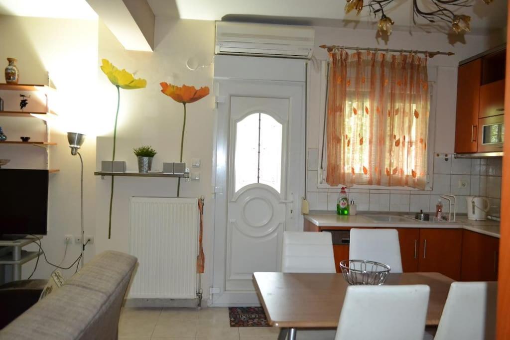 דירות ניאה מיכאניונה Vasiliki'S Cosy House מראה חיצוני תמונה